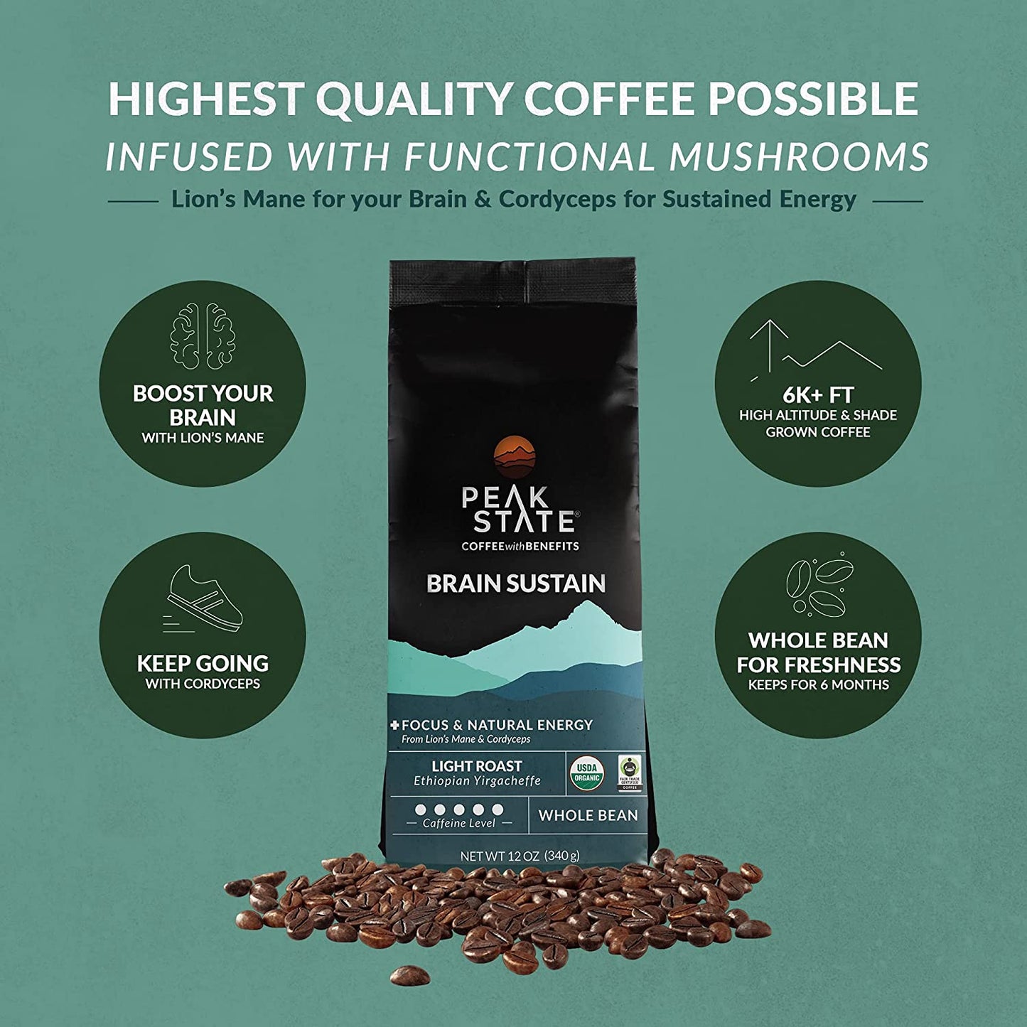 [FM] BRAIN SUSTAIN Light Roast - 5lb
