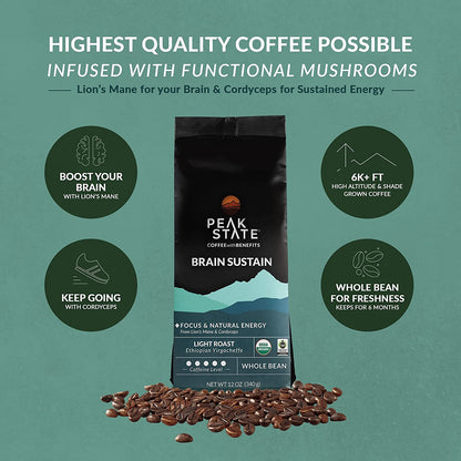 [FM] BRAIN SUSTAIN Light Roast - 5lb